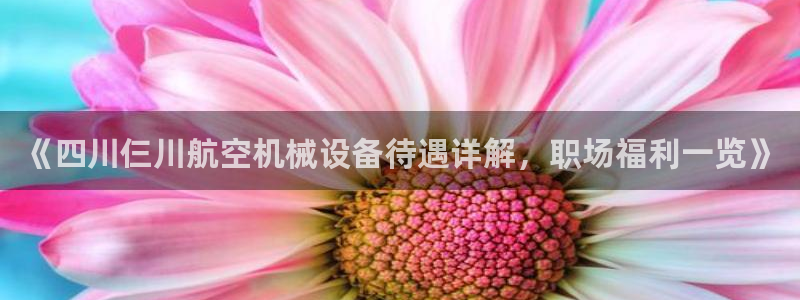 杏盛平台注册登录：《四川仨川航空机械设备待遇详解，职场福利一览》