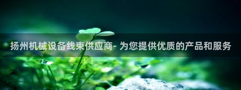 杏盛东24 35 53：扬州机械设备线束供应商- 为您提供优质的产品和服务
