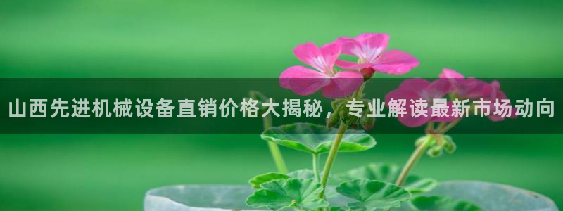 杏盛娱乐代理：山西先进机械设备直销价格大揭秘，专业解读最新市场动向