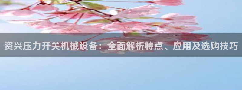 杏盛平台注册登录：资兴压力开关机械设备：全面解析特点、应用及选购技巧