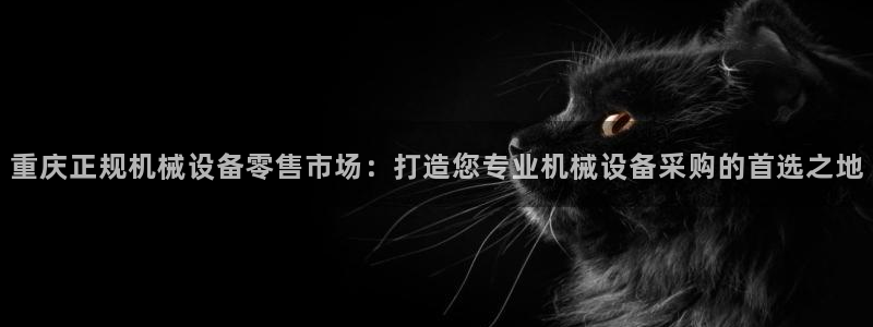 杏盛平台代理：重庆正规机械设备零售市场：打造您专业机械设备采购的首选之地