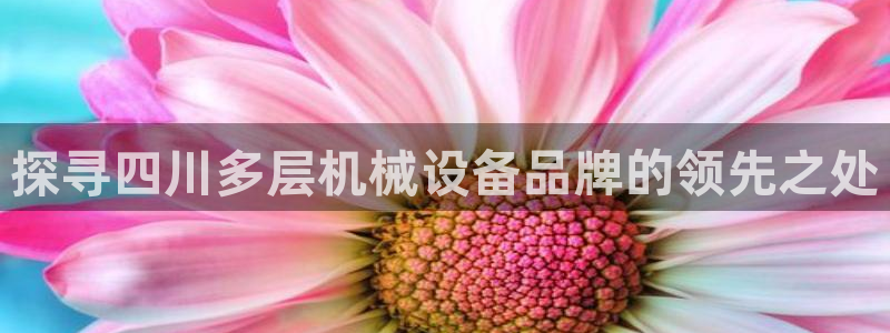 杏盛平台登录：探寻四川多层机械设备品牌的领先之处