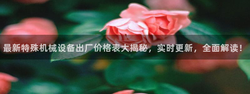 杏盛主管：最新特殊机械设备出厂价格表大揭秘，实时更新，全面解读！