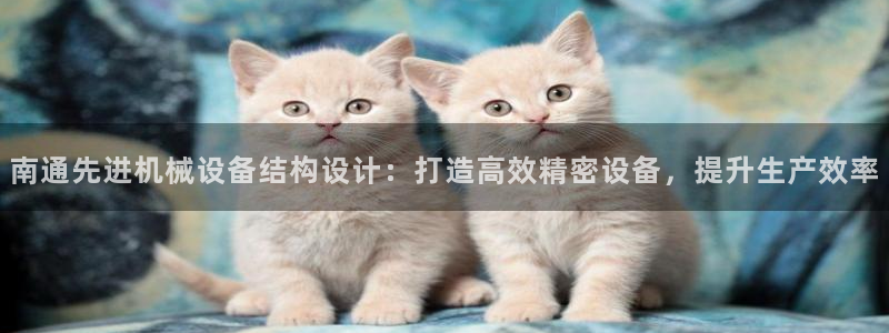 杏盛主管：南通先进机械设备结构设计：打造高效精密设备，提升生产效率