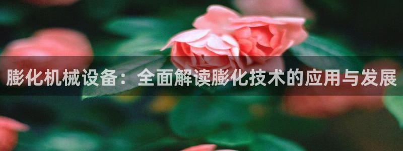 杏盛app下载：膨化机械设备：全面解读膨化技术的应用与发展