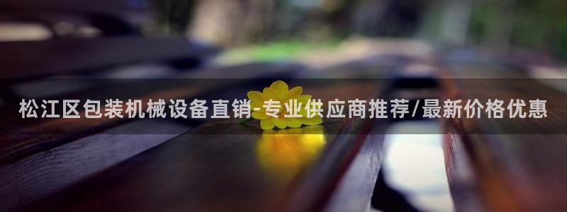杏盛主管