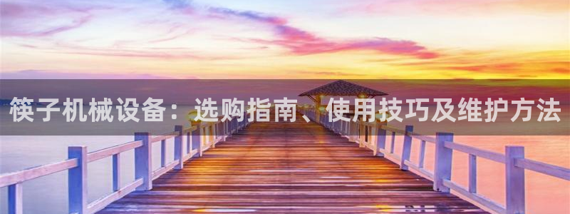 杏盛平台登录：筷子机械设备：选购指南、使用技巧及维护方法