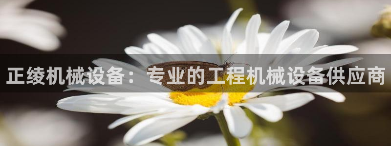 杏盛官网：正绫机械设备：专业的工程机械设备供应商