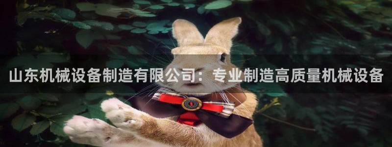 杏盛平台：山东机械设备制造有限公司：专业制造高质量机械设备