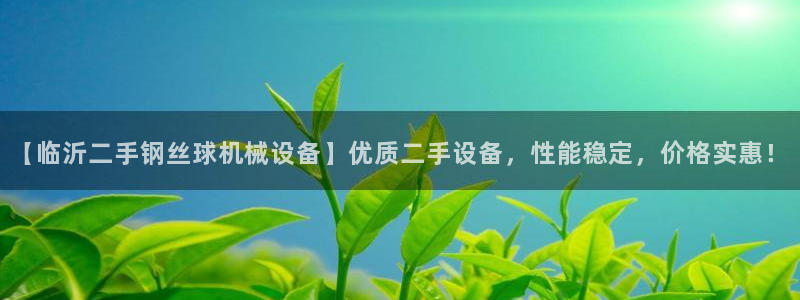 杏盛注册登录：【临沂二手钢丝球机械设备】优质二手设备，性能稳定，价格实惠！