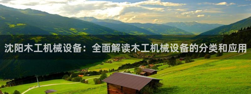 杏盛平台主管：沈阳木工机械设备：全面解读木工机械设备的分类和应用