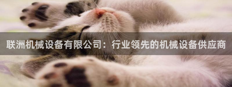 杏盛官网登录：联洲机械设备有限公司：行业领先的机械设备供应商