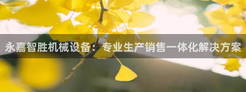 杏盛娱乐代理：永嘉智胜机械设备：专业生产销售一体化解决方案