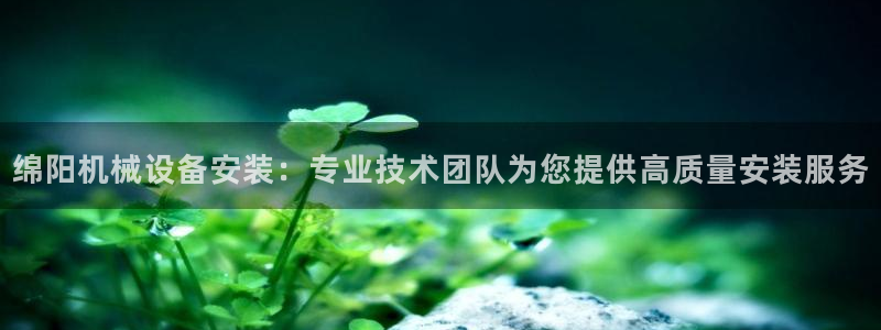 杏盛官网：绵阳机械设备安装：专业技术团队为您提供高质量安装服务