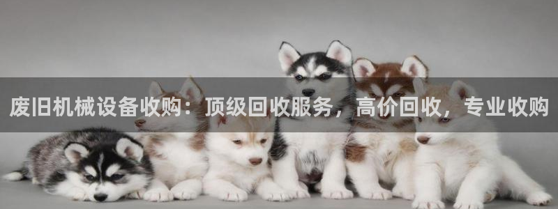 杏盛娱乐代理：废旧机械设备收购：顶级回收服务，高价回收，专业收购