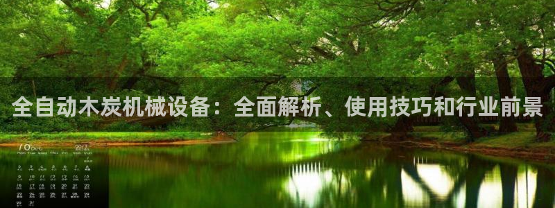 杏盛平台登录：全自动木炭机械设备：全面解析、使用技巧和行业前景
