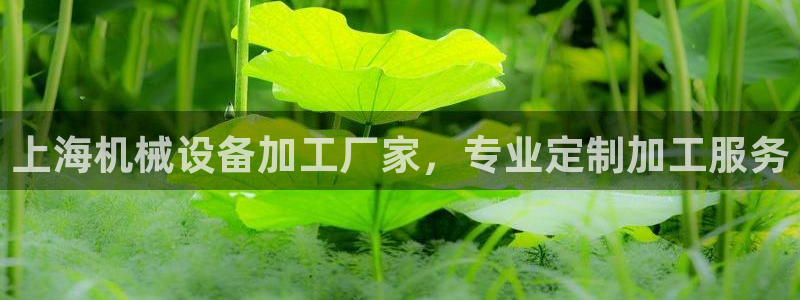 杏盛平台登录：上海机械设备加工厂家，专业定制加工服务