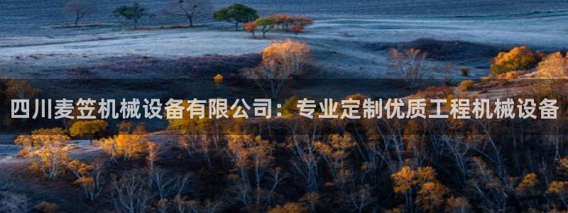 杏盛平台注册：四川麦笠机械设备有限公司：专业定制优质工程机械设备