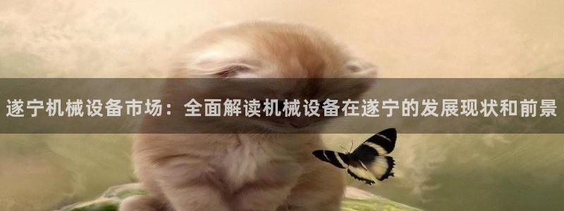 杏盛平台代理：遂宁机械设备市场：全面解读机械设备在遂宁的发展现状和前景