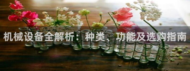 杏盛平台官网注册：机械设备全解析：种类、功能及选购指南