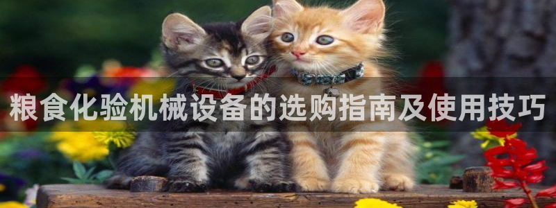 杏盛平台主管：粮食化验机械设备的选购指南及使用技巧