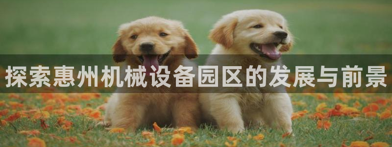 杏盛主管：探索惠州机械设备园区的发展与前景