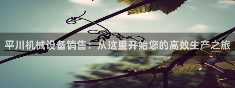 杏盛主管：平川机械设备销售：从这里开始您的高效生产之旅