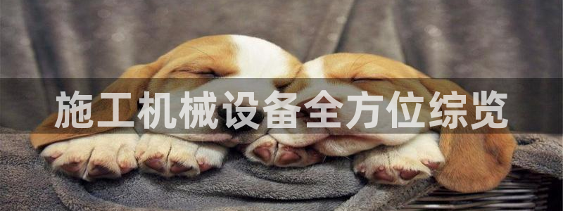 杏盛官网登录：施工机械设备全方位综览