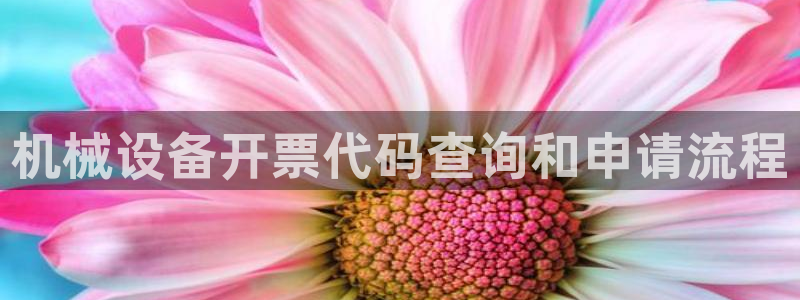杏盛乐岳35994誓：机械设备开票代码查询和申请流程