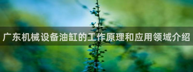 杏盛开户地址：广东机械设备油缸的工作原理和应用领域介绍