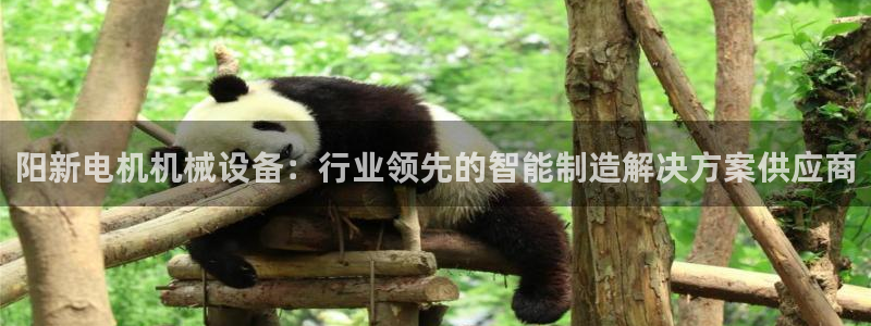 杏盛平台登录地址：阳新电机机械设备：行业领先的智能制造解决方案供应商