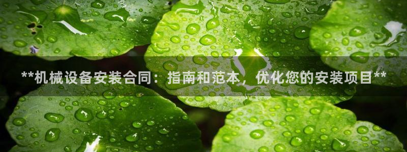 杏盛主管：**机械设备安装合同：指南和范本，优化您的安装项目**