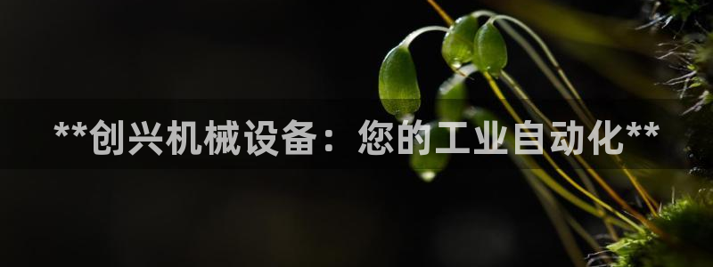 杏盛主管：**创兴机械设备：您的工业自动化**