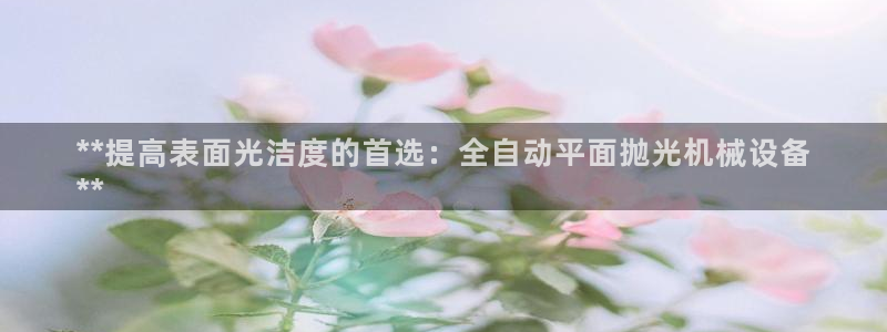 杏盛平台：**提高表面光洁度的首选：全自动平面抛光机械设备
**