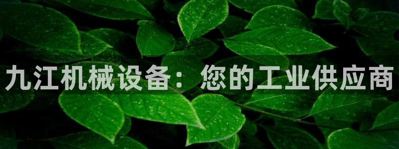 杏盛平台主管