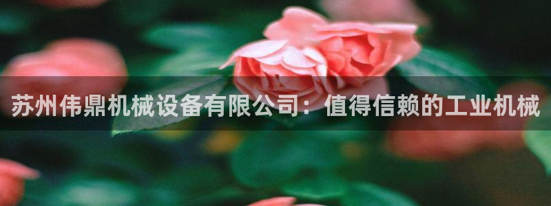 杏盛平台登录地址：苏州伟鼎机械设备有限公司：值得信赖的工业机械