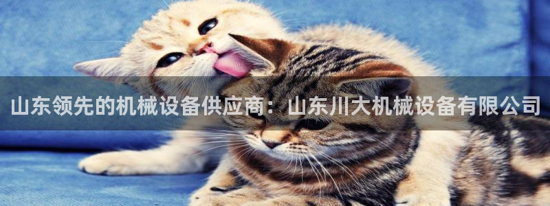 杏盛平台开户：山东领先的机械设备供应商：山东川大机械设备有限公司