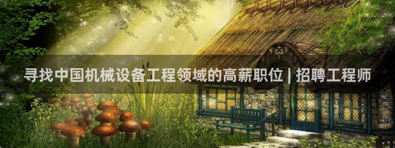 杏盛平台代理：寻找中国机械设备工程领域的高薪职位 | 招聘工程师