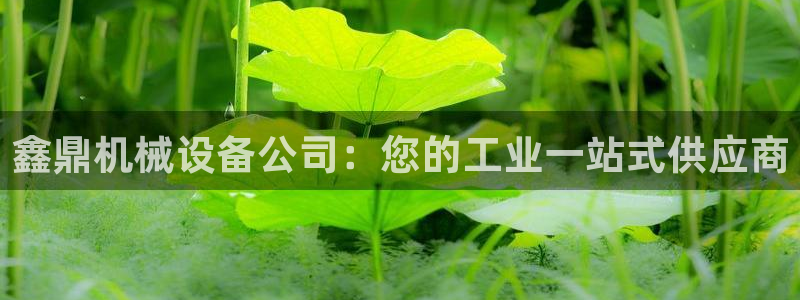 杏盛平台登录：鑫鼎机械设备公司：您的工业一站式供应商