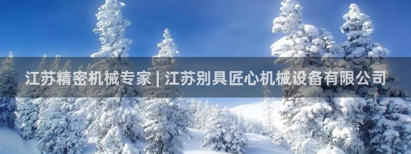 杏盛平台代理：江苏精密机械专家 | 江苏别具匠心机械设备有限公司