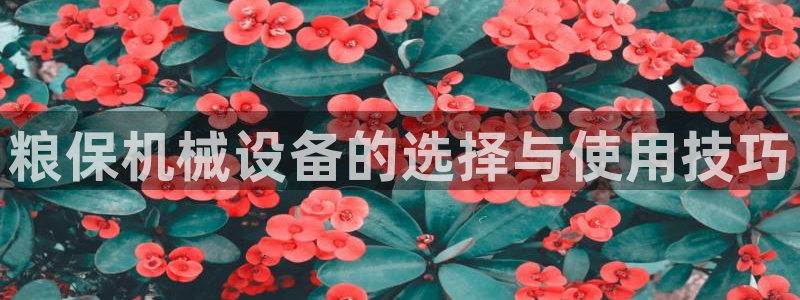 杏盛平台