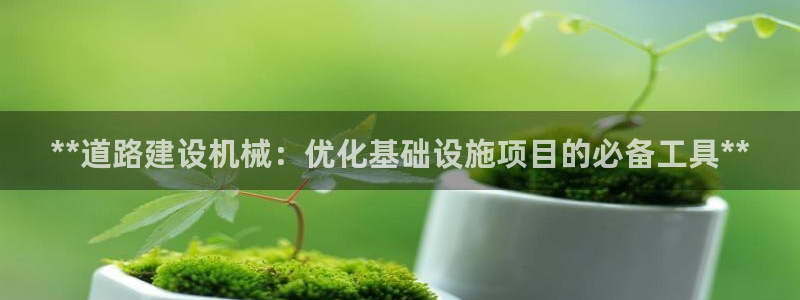 杏盛平台开户：**道路建设机械：优化基础设施项目的必备工具**
