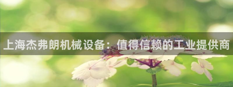 杏盛娱乐代理：上海杰弗朗机械设备：值得信赖的工业提供商