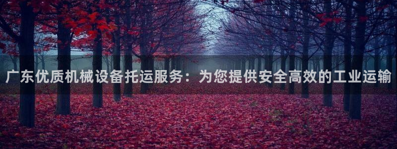 杏盛开户地址：广东优质机械设备托运服务：为您提供安全高效的工业运输