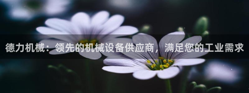 杏盛平台开户 贴吧：德力机械：领先的机械设备供应商，满足您的工业需求