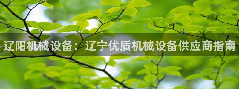杏盛注册登录：辽阳机械设备：辽宁优质机械设备供应商指南