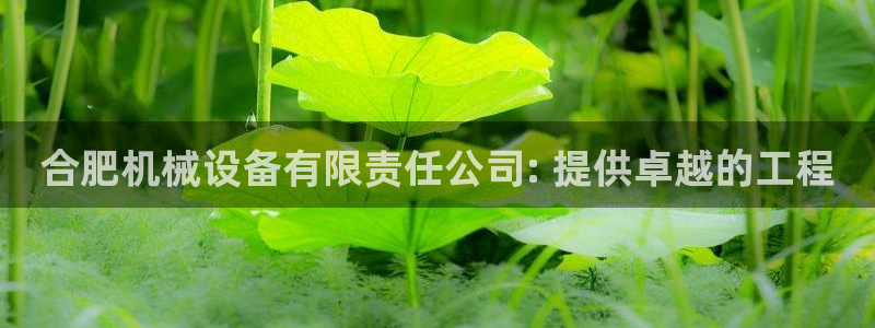 杏盛平台代理注册：合肥机械设备有限责任公司: 提供卓越的工程