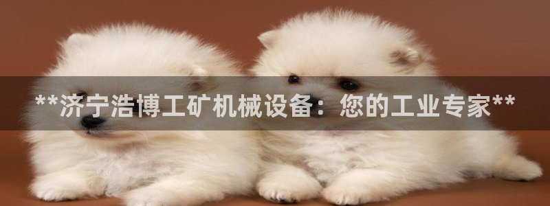 杏盛平台登录地址：**济宁浩博工矿机械设备：您的工业专家**