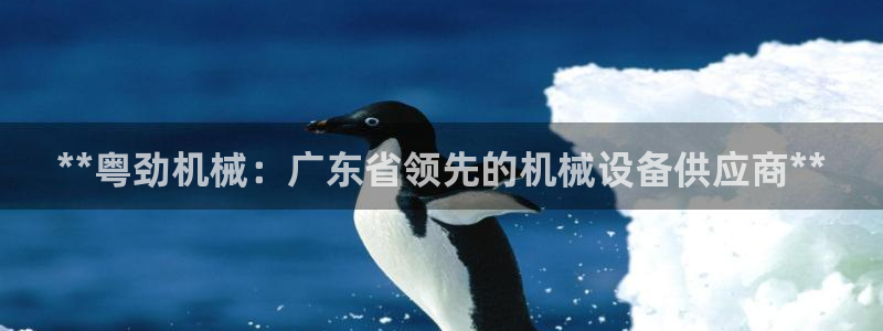 杏盛平台登陆地址：**粤劲机械：广东省领先的机械设备供应商**