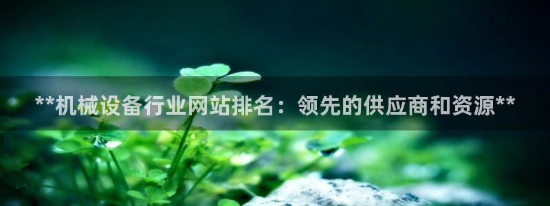 杏盛平台代理注册：**机械设备行业网站排名：领先的供应商和资源**
